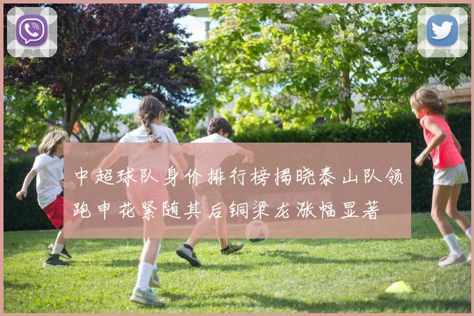 中超球队身价排行榜揭晓泰山队领跑申花紧随其后铜梁龙涨幅显著