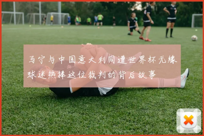 马宁与中国意大利同遭世界杯无缘球迷热捧这位裁判的背后故事
